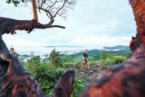 BIB: 
                            <button type="button" onclick="openModal(26372124)" class="btn btn-primary btn-sm float-right btn-popup" data-toggle="modal" data-target=".modal-high-quality">
                        <i class="fas fa-shopping-cart"></i> Add to Cart
                    </button>
                                            <button type="button" onclick="isThisMe(26372124, true)" class="btn btn-success btn-sm float-right btn-popup btn-isme hidden" data-toggle="tooltip" data-placement="bottom" title="นี่คือรูปของคุณใช่ไหม คลิกที่นี่เพื่อเอาเข้าอัลบั้ม">
                        <i class="fas fa-plus"></i> Add to album
                    </button>
                    <button type="button" onclick="isThisMe(26372124, false)" class="btn btn-warning btn-sm float-right btn-popup btn-isnotme hidden">
                        <i class="fas fa-ban"></i> Remove from album
                    </button>