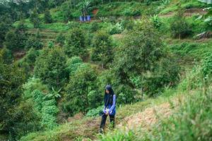 BIB: 
                            <button type="button" onclick="openModal(26401861)" class="btn btn-primary btn-sm float-right btn-popup" data-toggle="modal" data-target=".modal-high-quality">
                        <i class="fas fa-shopping-cart"></i> Add to Cart
                    </button>
                                            <button type="button" onclick="isThisMe(26401861, true)" class="btn btn-success btn-sm float-right btn-popup btn-isme hidden" data-toggle="tooltip" data-placement="bottom" title="นี่คือรูปของคุณใช่ไหม คลิกที่นี่เพื่อเอาเข้าอัลบั้ม">
                        <i class="fas fa-plus"></i> Add to album
                    </button>
                    <button type="button" onclick="isThisMe(26401861, false)" class="btn btn-warning btn-sm float-right btn-popup btn-isnotme hidden">
                        <i class="fas fa-ban"></i> Remove from album
                    </button>