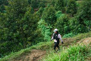 BIB: 
                            <button type="button" onclick="openModal(26401931)" class="btn btn-primary btn-sm float-right btn-popup" data-toggle="modal" data-target=".modal-high-quality">
                        <i class="fas fa-shopping-cart"></i> Add to Cart
                    </button>
                                            <button type="button" onclick="isThisMe(26401931, true)" class="btn btn-success btn-sm float-right btn-popup btn-isme hidden" data-toggle="tooltip" data-placement="bottom" title="นี่คือรูปของคุณใช่ไหม คลิกที่นี่เพื่อเอาเข้าอัลบั้ม">
                        <i class="fas fa-plus"></i> Add to album
                    </button>
                    <button type="button" onclick="isThisMe(26401931, false)" class="btn btn-warning btn-sm float-right btn-popup btn-isnotme hidden">
                        <i class="fas fa-ban"></i> Remove from album
                    </button>