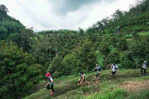 BIB: 
                            <button type="button" onclick="openModal(26394925)" class="btn btn-primary btn-sm float-right btn-popup" data-toggle="modal" data-target=".modal-high-quality">
                        <i class="fas fa-shopping-cart"></i> Add to Cart
                    </button>
                                            <button type="button" onclick="isThisMe(26394925, true)" class="btn btn-success btn-sm float-right btn-popup btn-isme hidden" data-toggle="tooltip" data-placement="bottom" title="นี่คือรูปของคุณใช่ไหม คลิกที่นี่เพื่อเอาเข้าอัลบั้ม">
                        <i class="fas fa-plus"></i> Add to album
                    </button>
                    <button type="button" onclick="isThisMe(26394925, false)" class="btn btn-warning btn-sm float-right btn-popup btn-isnotme hidden">
                        <i class="fas fa-ban"></i> Remove from album
                    </button>