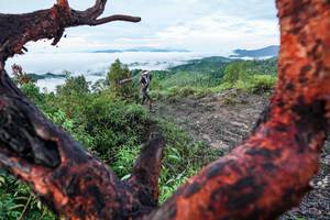 BIB: 
                            <button type="button" onclick="openModal(26372203)" class="btn btn-primary btn-sm float-right btn-popup" data-toggle="modal" data-target=".modal-high-quality">
                        <i class="fas fa-shopping-cart"></i> Add to Cart
                    </button>
                                            <button type="button" onclick="isThisMe(26372203, true)" class="btn btn-success btn-sm float-right btn-popup btn-isme hidden" data-toggle="tooltip" data-placement="bottom" title="นี่คือรูปของคุณใช่ไหม คลิกที่นี่เพื่อเอาเข้าอัลบั้ม">
                        <i class="fas fa-plus"></i> Add to album
                    </button>
                    <button type="button" onclick="isThisMe(26372203, false)" class="btn btn-warning btn-sm float-right btn-popup btn-isnotme hidden">
                        <i class="fas fa-ban"></i> Remove from album
                    </button>