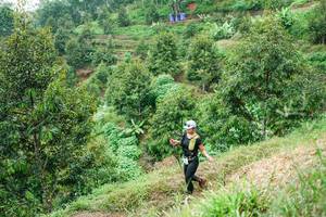 BIB: 
                            <button type="button" onclick="openModal(26398005)" class="btn btn-primary btn-sm float-right btn-popup" data-toggle="modal" data-target=".modal-high-quality">
                        <i class="fas fa-shopping-cart"></i> Add to Cart
                    </button>
                                            <button type="button" onclick="isThisMe(26398005, true)" class="btn btn-success btn-sm float-right btn-popup btn-isme hidden" data-toggle="tooltip" data-placement="bottom" title="นี่คือรูปของคุณใช่ไหม คลิกที่นี่เพื่อเอาเข้าอัลบั้ม">
                        <i class="fas fa-plus"></i> Add to album
                    </button>
                    <button type="button" onclick="isThisMe(26398005, false)" class="btn btn-warning btn-sm float-right btn-popup btn-isnotme hidden">
                        <i class="fas fa-ban"></i> Remove from album
                    </button>