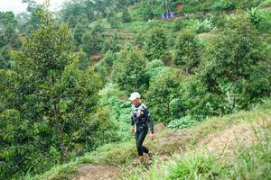 BIB: 
                            <button type="button" onclick="openModal(26397992)" class="btn btn-primary btn-sm float-right btn-popup" data-toggle="modal" data-target=".modal-high-quality">
                        <i class="fas fa-shopping-cart"></i> Add to Cart
                    </button>
                                            <button type="button" onclick="isThisMe(26397992, true)" class="btn btn-success btn-sm float-right btn-popup btn-isme hidden" data-toggle="tooltip" data-placement="bottom" title="นี่คือรูปของคุณใช่ไหม คลิกที่นี่เพื่อเอาเข้าอัลบั้ม">
                        <i class="fas fa-plus"></i> Add to album
                    </button>
                    <button type="button" onclick="isThisMe(26397992, false)" class="btn btn-warning btn-sm float-right btn-popup btn-isnotme hidden">
                        <i class="fas fa-ban"></i> Remove from album
                    </button>