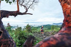 BIB: 
                            <button type="button" onclick="openModal(26372145)" class="btn btn-primary btn-sm float-right btn-popup" data-toggle="modal" data-target=".modal-high-quality">
                        <i class="fas fa-shopping-cart"></i> Add to Cart
                    </button>
                                            <button type="button" onclick="isThisMe(26372145, true)" class="btn btn-success btn-sm float-right btn-popup btn-isme hidden" data-toggle="tooltip" data-placement="bottom" title="นี่คือรูปของคุณใช่ไหม คลิกที่นี่เพื่อเอาเข้าอัลบั้ม">
                        <i class="fas fa-plus"></i> Add to album
                    </button>
                    <button type="button" onclick="isThisMe(26372145, false)" class="btn btn-warning btn-sm float-right btn-popup btn-isnotme hidden">
                        <i class="fas fa-ban"></i> Remove from album
                    </button>