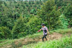 BIB: 
                            <button type="button" onclick="openModal(26397713)" class="btn btn-primary btn-sm float-right btn-popup" data-toggle="modal" data-target=".modal-high-quality">
                        <i class="fas fa-shopping-cart"></i> Add to Cart
                    </button>
                                            <button type="button" onclick="isThisMe(26397713, true)" class="btn btn-success btn-sm float-right btn-popup btn-isme hidden" data-toggle="tooltip" data-placement="bottom" title="นี่คือรูปของคุณใช่ไหม คลิกที่นี่เพื่อเอาเข้าอัลบั้ม">
                        <i class="fas fa-plus"></i> Add to album
                    </button>
                    <button type="button" onclick="isThisMe(26397713, false)" class="btn btn-warning btn-sm float-right btn-popup btn-isnotme hidden">
                        <i class="fas fa-ban"></i> Remove from album
                    </button>