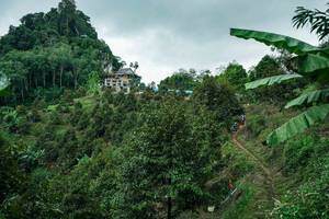 BIB: 
                            <button type="button" onclick="openModal(26396742)" class="btn btn-primary btn-sm float-right btn-popup" data-toggle="modal" data-target=".modal-high-quality">
                        <i class="fas fa-shopping-cart"></i> Add to Cart
                    </button>
                                            <button type="button" onclick="isThisMe(26396742, true)" class="btn btn-success btn-sm float-right btn-popup btn-isme hidden" data-toggle="tooltip" data-placement="bottom" title="นี่คือรูปของคุณใช่ไหม คลิกที่นี่เพื่อเอาเข้าอัลบั้ม">
                        <i class="fas fa-plus"></i> Add to album
                    </button>
                    <button type="button" onclick="isThisMe(26396742, false)" class="btn btn-warning btn-sm float-right btn-popup btn-isnotme hidden">
                        <i class="fas fa-ban"></i> Remove from album
                    </button>