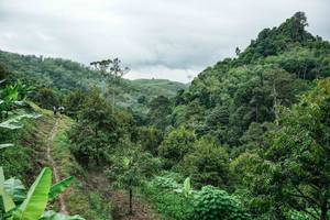 BIB: 
                            <button type="button" onclick="openModal(26396635)" class="btn btn-primary btn-sm float-right btn-popup" data-toggle="modal" data-target=".modal-high-quality">
                        <i class="fas fa-shopping-cart"></i> Add to Cart
                    </button>
                                            <button type="button" onclick="isThisMe(26396635, true)" class="btn btn-success btn-sm float-right btn-popup btn-isme hidden" data-toggle="tooltip" data-placement="bottom" title="นี่คือรูปของคุณใช่ไหม คลิกที่นี่เพื่อเอาเข้าอัลบั้ม">
                        <i class="fas fa-plus"></i> Add to album
                    </button>
                    <button type="button" onclick="isThisMe(26396635, false)" class="btn btn-warning btn-sm float-right btn-popup btn-isnotme hidden">
                        <i class="fas fa-ban"></i> Remove from album
                    </button>