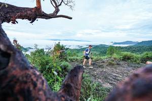 BIB: 
                            <button type="button" onclick="openModal(26372077)" class="btn btn-primary btn-sm float-right btn-popup" data-toggle="modal" data-target=".modal-high-quality">
                        <i class="fas fa-shopping-cart"></i> Add to Cart
                    </button>
                                            <button type="button" onclick="isThisMe(26372077, true)" class="btn btn-success btn-sm float-right btn-popup btn-isme hidden" data-toggle="tooltip" data-placement="bottom" title="นี่คือรูปของคุณใช่ไหม คลิกที่นี่เพื่อเอาเข้าอัลบั้ม">
                        <i class="fas fa-plus"></i> Add to album
                    </button>
                    <button type="button" onclick="isThisMe(26372077, false)" class="btn btn-warning btn-sm float-right btn-popup btn-isnotme hidden">
                        <i class="fas fa-ban"></i> Remove from album
                    </button>