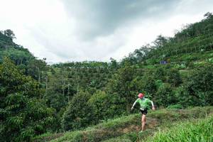 BIB: 
                            <button type="button" onclick="openModal(26394935)" class="btn btn-primary btn-sm float-right btn-popup" data-toggle="modal" data-target=".modal-high-quality">
                        <i class="fas fa-shopping-cart"></i> Add to Cart
                    </button>
                                            <button type="button" onclick="isThisMe(26394935, true)" class="btn btn-success btn-sm float-right btn-popup btn-isme hidden" data-toggle="tooltip" data-placement="bottom" title="นี่คือรูปของคุณใช่ไหม คลิกที่นี่เพื่อเอาเข้าอัลบั้ม">
                        <i class="fas fa-plus"></i> Add to album
                    </button>
                    <button type="button" onclick="isThisMe(26394935, false)" class="btn btn-warning btn-sm float-right btn-popup btn-isnotme hidden">
                        <i class="fas fa-ban"></i> Remove from album
                    </button>