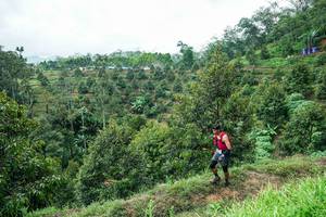 BIB: 
                            <button type="button" onclick="openModal(26395456)" class="btn btn-primary btn-sm float-right btn-popup" data-toggle="modal" data-target=".modal-high-quality">
                        <i class="fas fa-shopping-cart"></i> Add to Cart
                    </button>
                                            <button type="button" onclick="isThisMe(26395456, true)" class="btn btn-success btn-sm float-right btn-popup btn-isme hidden" data-toggle="tooltip" data-placement="bottom" title="นี่คือรูปของคุณใช่ไหม คลิกที่นี่เพื่อเอาเข้าอัลบั้ม">
                        <i class="fas fa-plus"></i> Add to album
                    </button>
                    <button type="button" onclick="isThisMe(26395456, false)" class="btn btn-warning btn-sm float-right btn-popup btn-isnotme hidden">
                        <i class="fas fa-ban"></i> Remove from album
                    </button>