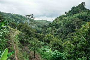 BIB: 
                            <button type="button" onclick="openModal(26396623)" class="btn btn-primary btn-sm float-right btn-popup" data-toggle="modal" data-target=".modal-high-quality">
                        <i class="fas fa-shopping-cart"></i> Add to Cart
                    </button>
                                            <button type="button" onclick="isThisMe(26396623, true)" class="btn btn-success btn-sm float-right btn-popup btn-isme hidden" data-toggle="tooltip" data-placement="bottom" title="นี่คือรูปของคุณใช่ไหม คลิกที่นี่เพื่อเอาเข้าอัลบั้ม">
                        <i class="fas fa-plus"></i> Add to album
                    </button>
                    <button type="button" onclick="isThisMe(26396623, false)" class="btn btn-warning btn-sm float-right btn-popup btn-isnotme hidden">
                        <i class="fas fa-ban"></i> Remove from album
                    </button>