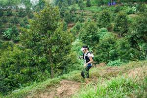 BIB: 
                            <button type="button" onclick="openModal(26397697)" class="btn btn-primary btn-sm float-right btn-popup" data-toggle="modal" data-target=".modal-high-quality">
                        <i class="fas fa-shopping-cart"></i> Add to Cart
                    </button>
                                            <button type="button" onclick="isThisMe(26397697, true)" class="btn btn-success btn-sm float-right btn-popup btn-isme hidden" data-toggle="tooltip" data-placement="bottom" title="นี่คือรูปของคุณใช่ไหม คลิกที่นี่เพื่อเอาเข้าอัลบั้ม">
                        <i class="fas fa-plus"></i> Add to album
                    </button>
                    <button type="button" onclick="isThisMe(26397697, false)" class="btn btn-warning btn-sm float-right btn-popup btn-isnotme hidden">
                        <i class="fas fa-ban"></i> Remove from album
                    </button>