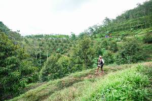 BIB: 
                            <button type="button" onclick="openModal(26394977)" class="btn btn-primary btn-sm float-right btn-popup" data-toggle="modal" data-target=".modal-high-quality">
                        <i class="fas fa-shopping-cart"></i> Add to Cart
                    </button>
                                            <button type="button" onclick="isThisMe(26394977, true)" class="btn btn-success btn-sm float-right btn-popup btn-isme hidden" data-toggle="tooltip" data-placement="bottom" title="นี่คือรูปของคุณใช่ไหม คลิกที่นี่เพื่อเอาเข้าอัลบั้ม">
                        <i class="fas fa-plus"></i> Add to album
                    </button>
                    <button type="button" onclick="isThisMe(26394977, false)" class="btn btn-warning btn-sm float-right btn-popup btn-isnotme hidden">
                        <i class="fas fa-ban"></i> Remove from album
                    </button>