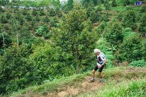 BIB: 
                            <button type="button" onclick="openModal(26397265)" class="btn btn-primary btn-sm float-right btn-popup" data-toggle="modal" data-target=".modal-high-quality">
                        <i class="fas fa-shopping-cart"></i> Add to Cart
                    </button>
                                            <button type="button" onclick="isThisMe(26397265, true)" class="btn btn-success btn-sm float-right btn-popup btn-isme hidden" data-toggle="tooltip" data-placement="bottom" title="นี่คือรูปของคุณใช่ไหม คลิกที่นี่เพื่อเอาเข้าอัลบั้ม">
                        <i class="fas fa-plus"></i> Add to album
                    </button>
                    <button type="button" onclick="isThisMe(26397265, false)" class="btn btn-warning btn-sm float-right btn-popup btn-isnotme hidden">
                        <i class="fas fa-ban"></i> Remove from album
                    </button>