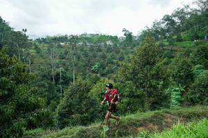 BIB: 
                            <button type="button" onclick="openModal(26395420)" class="btn btn-primary btn-sm float-right btn-popup" data-toggle="modal" data-target=".modal-high-quality">
                        <i class="fas fa-shopping-cart"></i> Add to Cart
                    </button>
                                            <button type="button" onclick="isThisMe(26395420, true)" class="btn btn-success btn-sm float-right btn-popup btn-isme hidden" data-toggle="tooltip" data-placement="bottom" title="นี่คือรูปของคุณใช่ไหม คลิกที่นี่เพื่อเอาเข้าอัลบั้ม">
                        <i class="fas fa-plus"></i> Add to album
                    </button>
                    <button type="button" onclick="isThisMe(26395420, false)" class="btn btn-warning btn-sm float-right btn-popup btn-isnotme hidden">
                        <i class="fas fa-ban"></i> Remove from album
                    </button>