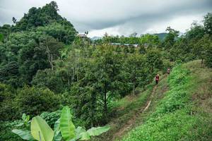 BIB: 
                            <button type="button" onclick="openModal(26396488)" class="btn btn-primary btn-sm float-right btn-popup" data-toggle="modal" data-target=".modal-high-quality">
                        <i class="fas fa-shopping-cart"></i> Add to Cart
                    </button>
                                            <button type="button" onclick="isThisMe(26396488, true)" class="btn btn-success btn-sm float-right btn-popup btn-isme hidden" data-toggle="tooltip" data-placement="bottom" title="นี่คือรูปของคุณใช่ไหม คลิกที่นี่เพื่อเอาเข้าอัลบั้ม">
                        <i class="fas fa-plus"></i> Add to album
                    </button>
                    <button type="button" onclick="isThisMe(26396488, false)" class="btn btn-warning btn-sm float-right btn-popup btn-isnotme hidden">
                        <i class="fas fa-ban"></i> Remove from album
                    </button>