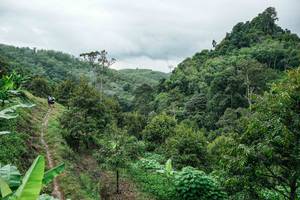 BIB: 
                            <button type="button" onclick="openModal(26396627)" class="btn btn-primary btn-sm float-right btn-popup" data-toggle="modal" data-target=".modal-high-quality">
                        <i class="fas fa-shopping-cart"></i> Add to Cart
                    </button>
                                            <button type="button" onclick="isThisMe(26396627, true)" class="btn btn-success btn-sm float-right btn-popup btn-isme hidden" data-toggle="tooltip" data-placement="bottom" title="นี่คือรูปของคุณใช่ไหม คลิกที่นี่เพื่อเอาเข้าอัลบั้ม">
                        <i class="fas fa-plus"></i> Add to album
                    </button>
                    <button type="button" onclick="isThisMe(26396627, false)" class="btn btn-warning btn-sm float-right btn-popup btn-isnotme hidden">
                        <i class="fas fa-ban"></i> Remove from album
                    </button>