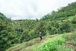 BIB: 
                            <button type="button" onclick="openModal(26396390)" class="btn btn-primary btn-sm float-right btn-popup" data-toggle="modal" data-target=".modal-high-quality">
                        <i class="fas fa-shopping-cart"></i> Add to Cart
                    </button>
                                            <button type="button" onclick="isThisMe(26396390, true)" class="btn btn-success btn-sm float-right btn-popup btn-isme hidden" data-toggle="tooltip" data-placement="bottom" title="นี่คือรูปของคุณใช่ไหม คลิกที่นี่เพื่อเอาเข้าอัลบั้ม">
                        <i class="fas fa-plus"></i> Add to album
                    </button>
                    <button type="button" onclick="isThisMe(26396390, false)" class="btn btn-warning btn-sm float-right btn-popup btn-isnotme hidden">
                        <i class="fas fa-ban"></i> Remove from album
                    </button>