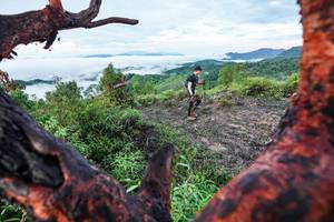 BIB: 
                            <button type="button" onclick="openModal(26372226)" class="btn btn-primary btn-sm float-right btn-popup" data-toggle="modal" data-target=".modal-high-quality">
                        <i class="fas fa-shopping-cart"></i> Add to Cart
                    </button>
                                            <button type="button" onclick="isThisMe(26372226, true)" class="btn btn-success btn-sm float-right btn-popup btn-isme hidden" data-toggle="tooltip" data-placement="bottom" title="นี่คือรูปของคุณใช่ไหม คลิกที่นี่เพื่อเอาเข้าอัลบั้ม">
                        <i class="fas fa-plus"></i> Add to album
                    </button>
                    <button type="button" onclick="isThisMe(26372226, false)" class="btn btn-warning btn-sm float-right btn-popup btn-isnotme hidden">
                        <i class="fas fa-ban"></i> Remove from album
                    </button>