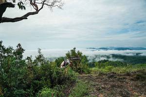 BIB: 
                            <button type="button" onclick="openModal(26386050)" class="btn btn-primary btn-sm float-right btn-popup" data-toggle="modal" data-target=".modal-high-quality">
                        <i class="fas fa-shopping-cart"></i> Add to Cart
                    </button>
                                            <button type="button" onclick="isThisMe(26386050, true)" class="btn btn-success btn-sm float-right btn-popup btn-isme hidden" data-toggle="tooltip" data-placement="bottom" title="นี่คือรูปของคุณใช่ไหม คลิกที่นี่เพื่อเอาเข้าอัลบั้ม">
                        <i class="fas fa-plus"></i> Add to album
                    </button>
                    <button type="button" onclick="isThisMe(26386050, false)" class="btn btn-warning btn-sm float-right btn-popup btn-isnotme hidden">
                        <i class="fas fa-ban"></i> Remove from album
                    </button>