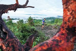 BIB: 
                            <button type="button" onclick="openModal(26372245)" class="btn btn-primary btn-sm float-right btn-popup" data-toggle="modal" data-target=".modal-high-quality">
                        <i class="fas fa-shopping-cart"></i> Add to Cart
                    </button>
                                            <button type="button" onclick="isThisMe(26372245, true)" class="btn btn-success btn-sm float-right btn-popup btn-isme hidden" data-toggle="tooltip" data-placement="bottom" title="นี่คือรูปของคุณใช่ไหม คลิกที่นี่เพื่อเอาเข้าอัลบั้ม">
                        <i class="fas fa-plus"></i> Add to album
                    </button>
                    <button type="button" onclick="isThisMe(26372245, false)" class="btn btn-warning btn-sm float-right btn-popup btn-isnotme hidden">
                        <i class="fas fa-ban"></i> Remove from album
                    </button>