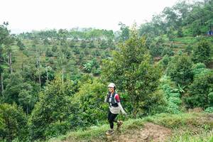 BIB: 
                            <button type="button" onclick="openModal(26397874)" class="btn btn-primary btn-sm float-right btn-popup" data-toggle="modal" data-target=".modal-high-quality">
                        <i class="fas fa-shopping-cart"></i> Add to Cart
                    </button>
                                            <button type="button" onclick="isThisMe(26397874, true)" class="btn btn-success btn-sm float-right btn-popup btn-isme hidden" data-toggle="tooltip" data-placement="bottom" title="นี่คือรูปของคุณใช่ไหม คลิกที่นี่เพื่อเอาเข้าอัลบั้ม">
                        <i class="fas fa-plus"></i> Add to album
                    </button>
                    <button type="button" onclick="isThisMe(26397874, false)" class="btn btn-warning btn-sm float-right btn-popup btn-isnotme hidden">
                        <i class="fas fa-ban"></i> Remove from album
                    </button>