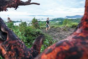 BIB: 
                            <button type="button" onclick="openModal(26372259)" class="btn btn-primary btn-sm float-right btn-popup" data-toggle="modal" data-target=".modal-high-quality">
                        <i class="fas fa-shopping-cart"></i> Add to Cart
                    </button>
                                            <button type="button" onclick="isThisMe(26372259, true)" class="btn btn-success btn-sm float-right btn-popup btn-isme hidden" data-toggle="tooltip" data-placement="bottom" title="นี่คือรูปของคุณใช่ไหม คลิกที่นี่เพื่อเอาเข้าอัลบั้ม">
                        <i class="fas fa-plus"></i> Add to album
                    </button>
                    <button type="button" onclick="isThisMe(26372259, false)" class="btn btn-warning btn-sm float-right btn-popup btn-isnotme hidden">
                        <i class="fas fa-ban"></i> Remove from album
                    </button>