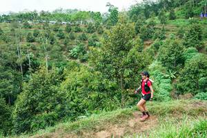 BIB: 
                            <button type="button" onclick="openModal(26397399)" class="btn btn-primary btn-sm float-right btn-popup" data-toggle="modal" data-target=".modal-high-quality">
                        <i class="fas fa-shopping-cart"></i> Add to Cart
                    </button>
                                            <button type="button" onclick="isThisMe(26397399, true)" class="btn btn-success btn-sm float-right btn-popup btn-isme hidden" data-toggle="tooltip" data-placement="bottom" title="นี่คือรูปของคุณใช่ไหม คลิกที่นี่เพื่อเอาเข้าอัลบั้ม">
                        <i class="fas fa-plus"></i> Add to album
                    </button>
                    <button type="button" onclick="isThisMe(26397399, false)" class="btn btn-warning btn-sm float-right btn-popup btn-isnotme hidden">
                        <i class="fas fa-ban"></i> Remove from album
                    </button>