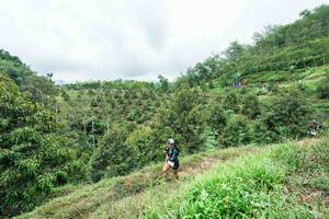 BIB: 
                            <button type="button" onclick="openModal(26396400)" class="btn btn-primary btn-sm float-right btn-popup" data-toggle="modal" data-target=".modal-high-quality">
                        <i class="fas fa-shopping-cart"></i> Add to Cart
                    </button>
                                            <button type="button" onclick="isThisMe(26396400, true)" class="btn btn-success btn-sm float-right btn-popup btn-isme hidden" data-toggle="tooltip" data-placement="bottom" title="นี่คือรูปของคุณใช่ไหม คลิกที่นี่เพื่อเอาเข้าอัลบั้ม">
                        <i class="fas fa-plus"></i> Add to album
                    </button>
                    <button type="button" onclick="isThisMe(26396400, false)" class="btn btn-warning btn-sm float-right btn-popup btn-isnotme hidden">
                        <i class="fas fa-ban"></i> Remove from album
                    </button>