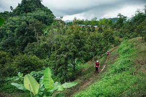 BIB: 
                            <button type="button" onclick="openModal(26396508)" class="btn btn-primary btn-sm float-right btn-popup" data-toggle="modal" data-target=".modal-high-quality">
                        <i class="fas fa-shopping-cart"></i> Add to Cart
                    </button>
                                            <button type="button" onclick="isThisMe(26396508, true)" class="btn btn-success btn-sm float-right btn-popup btn-isme hidden" data-toggle="tooltip" data-placement="bottom" title="นี่คือรูปของคุณใช่ไหม คลิกที่นี่เพื่อเอาเข้าอัลบั้ม">
                        <i class="fas fa-plus"></i> Add to album
                    </button>
                    <button type="button" onclick="isThisMe(26396508, false)" class="btn btn-warning btn-sm float-right btn-popup btn-isnotme hidden">
                        <i class="fas fa-ban"></i> Remove from album
                    </button>