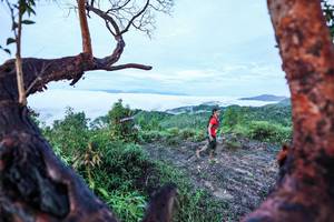 BIB: 
                            <button type="button" onclick="openModal(26372045)" class="btn btn-primary btn-sm float-right btn-popup" data-toggle="modal" data-target=".modal-high-quality">
                        <i class="fas fa-shopping-cart"></i> Add to Cart
                    </button>
                                            <button type="button" onclick="isThisMe(26372045, true)" class="btn btn-success btn-sm float-right btn-popup btn-isme hidden" data-toggle="tooltip" data-placement="bottom" title="นี่คือรูปของคุณใช่ไหม คลิกที่นี่เพื่อเอาเข้าอัลบั้ม">
                        <i class="fas fa-plus"></i> Add to album
                    </button>
                    <button type="button" onclick="isThisMe(26372045, false)" class="btn btn-warning btn-sm float-right btn-popup btn-isnotme hidden">
                        <i class="fas fa-ban"></i> Remove from album
                    </button>