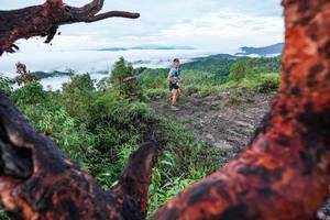 BIB: 
                            <button type="button" onclick="openModal(26372177)" class="btn btn-primary btn-sm float-right btn-popup" data-toggle="modal" data-target=".modal-high-quality">
                        <i class="fas fa-shopping-cart"></i> Add to Cart
                    </button>
                                            <button type="button" onclick="isThisMe(26372177, true)" class="btn btn-success btn-sm float-right btn-popup btn-isme hidden" data-toggle="tooltip" data-placement="bottom" title="นี่คือรูปของคุณใช่ไหม คลิกที่นี่เพื่อเอาเข้าอัลบั้ม">
                        <i class="fas fa-plus"></i> Add to album
                    </button>
                    <button type="button" onclick="isThisMe(26372177, false)" class="btn btn-warning btn-sm float-right btn-popup btn-isnotme hidden">
                        <i class="fas fa-ban"></i> Remove from album
                    </button>