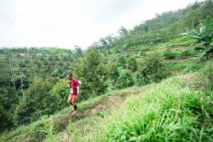 BIB: 
                            <button type="button" onclick="openModal(26395032)" class="btn btn-primary btn-sm float-right btn-popup" data-toggle="modal" data-target=".modal-high-quality">
                        <i class="fas fa-shopping-cart"></i> Add to Cart
                    </button>
                                            <button type="button" onclick="isThisMe(26395032, true)" class="btn btn-success btn-sm float-right btn-popup btn-isme hidden" data-toggle="tooltip" data-placement="bottom" title="นี่คือรูปของคุณใช่ไหม คลิกที่นี่เพื่อเอาเข้าอัลบั้ม">
                        <i class="fas fa-plus"></i> Add to album
                    </button>
                    <button type="button" onclick="isThisMe(26395032, false)" class="btn btn-warning btn-sm float-right btn-popup btn-isnotme hidden">
                        <i class="fas fa-ban"></i> Remove from album
                    </button>