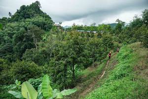 BIB: 
                            <button type="button" onclick="openModal(26396493)" class="btn btn-primary btn-sm float-right btn-popup" data-toggle="modal" data-target=".modal-high-quality">
                        <i class="fas fa-shopping-cart"></i> Add to Cart
                    </button>
                                            <button type="button" onclick="isThisMe(26396493, true)" class="btn btn-success btn-sm float-right btn-popup btn-isme hidden" data-toggle="tooltip" data-placement="bottom" title="นี่คือรูปของคุณใช่ไหม คลิกที่นี่เพื่อเอาเข้าอัลบั้ม">
                        <i class="fas fa-plus"></i> Add to album
                    </button>
                    <button type="button" onclick="isThisMe(26396493, false)" class="btn btn-warning btn-sm float-right btn-popup btn-isnotme hidden">
                        <i class="fas fa-ban"></i> Remove from album
                    </button>