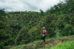 BIB: 
                            <button type="button" onclick="openModal(26395571)" class="btn btn-primary btn-sm float-right btn-popup" data-toggle="modal" data-target=".modal-high-quality">
                        <i class="fas fa-shopping-cart"></i> Add to Cart
                    </button>
                                            <button type="button" onclick="isThisMe(26395571, true)" class="btn btn-success btn-sm float-right btn-popup btn-isme hidden" data-toggle="tooltip" data-placement="bottom" title="นี่คือรูปของคุณใช่ไหม คลิกที่นี่เพื่อเอาเข้าอัลบั้ม">
                        <i class="fas fa-plus"></i> Add to album
                    </button>
                    <button type="button" onclick="isThisMe(26395571, false)" class="btn btn-warning btn-sm float-right btn-popup btn-isnotme hidden">
                        <i class="fas fa-ban"></i> Remove from album
                    </button>