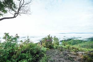 BIB: 
                            <button type="button" onclick="openModal(26372441)" class="btn btn-primary btn-sm float-right btn-popup" data-toggle="modal" data-target=".modal-high-quality">
                        <i class="fas fa-shopping-cart"></i> Add to Cart
                    </button>
                                            <button type="button" onclick="isThisMe(26372441, true)" class="btn btn-success btn-sm float-right btn-popup btn-isme hidden" data-toggle="tooltip" data-placement="bottom" title="นี่คือรูปของคุณใช่ไหม คลิกที่นี่เพื่อเอาเข้าอัลบั้ม">
                        <i class="fas fa-plus"></i> Add to album
                    </button>
                    <button type="button" onclick="isThisMe(26372441, false)" class="btn btn-warning btn-sm float-right btn-popup btn-isnotme hidden">
                        <i class="fas fa-ban"></i> Remove from album
                    </button>