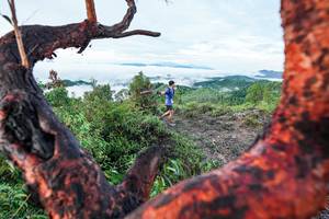 BIB: 
                            <button type="button" onclick="openModal(26372236)" class="btn btn-primary btn-sm float-right btn-popup" data-toggle="modal" data-target=".modal-high-quality">
                        <i class="fas fa-shopping-cart"></i> Add to Cart
                    </button>
                                            <button type="button" onclick="isThisMe(26372236, true)" class="btn btn-success btn-sm float-right btn-popup btn-isme hidden" data-toggle="tooltip" data-placement="bottom" title="นี่คือรูปของคุณใช่ไหม คลิกที่นี่เพื่อเอาเข้าอัลบั้ม">
                        <i class="fas fa-plus"></i> Add to album
                    </button>
                    <button type="button" onclick="isThisMe(26372236, false)" class="btn btn-warning btn-sm float-right btn-popup btn-isnotme hidden">
                        <i class="fas fa-ban"></i> Remove from album
                    </button>