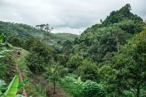 BIB: 
                            <button type="button" onclick="openModal(26396624)" class="btn btn-primary btn-sm float-right btn-popup" data-toggle="modal" data-target=".modal-high-quality">
                        <i class="fas fa-shopping-cart"></i> Add to Cart
                    </button>
                                            <button type="button" onclick="isThisMe(26396624, true)" class="btn btn-success btn-sm float-right btn-popup btn-isme hidden" data-toggle="tooltip" data-placement="bottom" title="นี่คือรูปของคุณใช่ไหม คลิกที่นี่เพื่อเอาเข้าอัลบั้ม">
                        <i class="fas fa-plus"></i> Add to album
                    </button>
                    <button type="button" onclick="isThisMe(26396624, false)" class="btn btn-warning btn-sm float-right btn-popup btn-isnotme hidden">
                        <i class="fas fa-ban"></i> Remove from album
                    </button>