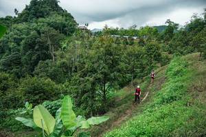 BIB: 
                            <button type="button" onclick="openModal(26396495)" class="btn btn-primary btn-sm float-right btn-popup" data-toggle="modal" data-target=".modal-high-quality">
                        <i class="fas fa-shopping-cart"></i> Add to Cart
                    </button>
                                            <button type="button" onclick="isThisMe(26396495, true)" class="btn btn-success btn-sm float-right btn-popup btn-isme hidden" data-toggle="tooltip" data-placement="bottom" title="นี่คือรูปของคุณใช่ไหม คลิกที่นี่เพื่อเอาเข้าอัลบั้ม">
                        <i class="fas fa-plus"></i> Add to album
                    </button>
                    <button type="button" onclick="isThisMe(26396495, false)" class="btn btn-warning btn-sm float-right btn-popup btn-isnotme hidden">
                        <i class="fas fa-ban"></i> Remove from album
                    </button>