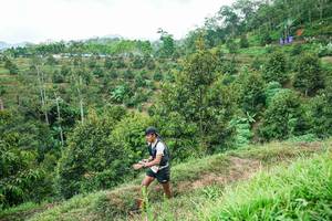 BIB: 
                            <button type="button" onclick="openModal(26395076)" class="btn btn-primary btn-sm float-right btn-popup" data-toggle="modal" data-target=".modal-high-quality">
                        <i class="fas fa-shopping-cart"></i> Add to Cart
                    </button>
                                            <button type="button" onclick="isThisMe(26395076, true)" class="btn btn-success btn-sm float-right btn-popup btn-isme hidden" data-toggle="tooltip" data-placement="bottom" title="นี่คือรูปของคุณใช่ไหม คลิกที่นี่เพื่อเอาเข้าอัลบั้ม">
                        <i class="fas fa-plus"></i> Add to album
                    </button>
                    <button type="button" onclick="isThisMe(26395076, false)" class="btn btn-warning btn-sm float-right btn-popup btn-isnotme hidden">
                        <i class="fas fa-ban"></i> Remove from album
                    </button>