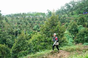 BIB: 
                            <button type="button" onclick="openModal(26397857)" class="btn btn-primary btn-sm float-right btn-popup" data-toggle="modal" data-target=".modal-high-quality">
                        <i class="fas fa-shopping-cart"></i> Add to Cart
                    </button>
                                            <button type="button" onclick="isThisMe(26397857, true)" class="btn btn-success btn-sm float-right btn-popup btn-isme hidden" data-toggle="tooltip" data-placement="bottom" title="นี่คือรูปของคุณใช่ไหม คลิกที่นี่เพื่อเอาเข้าอัลบั้ม">
                        <i class="fas fa-plus"></i> Add to album
                    </button>
                    <button type="button" onclick="isThisMe(26397857, false)" class="btn btn-warning btn-sm float-right btn-popup btn-isnotme hidden">
                        <i class="fas fa-ban"></i> Remove from album
                    </button>