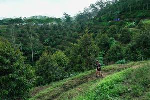 BIB: 
                            <button type="button" onclick="openModal(26396863)" class="btn btn-primary btn-sm float-right btn-popup" data-toggle="modal" data-target=".modal-high-quality">
                        <i class="fas fa-shopping-cart"></i> Add to Cart
                    </button>
                                            <button type="button" onclick="isThisMe(26396863, true)" class="btn btn-success btn-sm float-right btn-popup btn-isme hidden" data-toggle="tooltip" data-placement="bottom" title="นี่คือรูปของคุณใช่ไหม คลิกที่นี่เพื่อเอาเข้าอัลบั้ม">
                        <i class="fas fa-plus"></i> Add to album
                    </button>
                    <button type="button" onclick="isThisMe(26396863, false)" class="btn btn-warning btn-sm float-right btn-popup btn-isnotme hidden">
                        <i class="fas fa-ban"></i> Remove from album
                    </button>