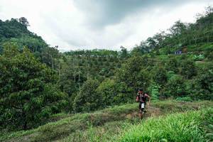 BIB: 
                            <button type="button" onclick="openModal(26394933)" class="btn btn-primary btn-sm float-right btn-popup" data-toggle="modal" data-target=".modal-high-quality">
                        <i class="fas fa-shopping-cart"></i> Add to Cart
                    </button>
                                            <button type="button" onclick="isThisMe(26394933, true)" class="btn btn-success btn-sm float-right btn-popup btn-isme hidden" data-toggle="tooltip" data-placement="bottom" title="นี่คือรูปของคุณใช่ไหม คลิกที่นี่เพื่อเอาเข้าอัลบั้ม">
                        <i class="fas fa-plus"></i> Add to album
                    </button>
                    <button type="button" onclick="isThisMe(26394933, false)" class="btn btn-warning btn-sm float-right btn-popup btn-isnotme hidden">
                        <i class="fas fa-ban"></i> Remove from album
                    </button>