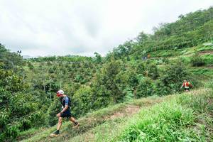 BIB: 
                            <button type="button" onclick="openModal(26396344)" class="btn btn-primary btn-sm float-right btn-popup" data-toggle="modal" data-target=".modal-high-quality">
                        <i class="fas fa-shopping-cart"></i> Add to Cart
                    </button>
                                            <button type="button" onclick="isThisMe(26396344, true)" class="btn btn-success btn-sm float-right btn-popup btn-isme hidden" data-toggle="tooltip" data-placement="bottom" title="นี่คือรูปของคุณใช่ไหม คลิกที่นี่เพื่อเอาเข้าอัลบั้ม">
                        <i class="fas fa-plus"></i> Add to album
                    </button>
                    <button type="button" onclick="isThisMe(26396344, false)" class="btn btn-warning btn-sm float-right btn-popup btn-isnotme hidden">
                        <i class="fas fa-ban"></i> Remove from album
                    </button>