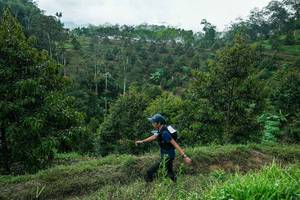 BIB: 
                            <button type="button" onclick="openModal(26395421)" class="btn btn-primary btn-sm float-right btn-popup" data-toggle="modal" data-target=".modal-high-quality">
                        <i class="fas fa-shopping-cart"></i> Add to Cart
                    </button>
                                            <button type="button" onclick="isThisMe(26395421, true)" class="btn btn-success btn-sm float-right btn-popup btn-isme hidden" data-toggle="tooltip" data-placement="bottom" title="นี่คือรูปของคุณใช่ไหม คลิกที่นี่เพื่อเอาเข้าอัลบั้ม">
                        <i class="fas fa-plus"></i> Add to album
                    </button>
                    <button type="button" onclick="isThisMe(26395421, false)" class="btn btn-warning btn-sm float-right btn-popup btn-isnotme hidden">
                        <i class="fas fa-ban"></i> Remove from album
                    </button>