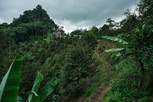 BIB: 
                            <button type="button" onclick="openModal(26396730)" class="btn btn-primary btn-sm float-right btn-popup" data-toggle="modal" data-target=".modal-high-quality">
                        <i class="fas fa-shopping-cart"></i> Add to Cart
                    </button>
                                            <button type="button" onclick="isThisMe(26396730, true)" class="btn btn-success btn-sm float-right btn-popup btn-isme hidden" data-toggle="tooltip" data-placement="bottom" title="นี่คือรูปของคุณใช่ไหม คลิกที่นี่เพื่อเอาเข้าอัลบั้ม">
                        <i class="fas fa-plus"></i> Add to album
                    </button>
                    <button type="button" onclick="isThisMe(26396730, false)" class="btn btn-warning btn-sm float-right btn-popup btn-isnotme hidden">
                        <i class="fas fa-ban"></i> Remove from album
                    </button>