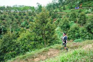 BIB: 
                            <button type="button" onclick="openModal(26397425)" class="btn btn-primary btn-sm float-right btn-popup" data-toggle="modal" data-target=".modal-high-quality">
                        <i class="fas fa-shopping-cart"></i> Add to Cart
                    </button>
                                            <button type="button" onclick="isThisMe(26397425, true)" class="btn btn-success btn-sm float-right btn-popup btn-isme hidden" data-toggle="tooltip" data-placement="bottom" title="นี่คือรูปของคุณใช่ไหม คลิกที่นี่เพื่อเอาเข้าอัลบั้ม">
                        <i class="fas fa-plus"></i> Add to album
                    </button>
                    <button type="button" onclick="isThisMe(26397425, false)" class="btn btn-warning btn-sm float-right btn-popup btn-isnotme hidden">
                        <i class="fas fa-ban"></i> Remove from album
                    </button>