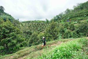 BIB: 
                            <button type="button" onclick="openModal(26396393)" class="btn btn-primary btn-sm float-right btn-popup" data-toggle="modal" data-target=".modal-high-quality">
                        <i class="fas fa-shopping-cart"></i> Add to Cart
                    </button>
                                            <button type="button" onclick="isThisMe(26396393, true)" class="btn btn-success btn-sm float-right btn-popup btn-isme hidden" data-toggle="tooltip" data-placement="bottom" title="นี่คือรูปของคุณใช่ไหม คลิกที่นี่เพื่อเอาเข้าอัลบั้ม">
                        <i class="fas fa-plus"></i> Add to album
                    </button>
                    <button type="button" onclick="isThisMe(26396393, false)" class="btn btn-warning btn-sm float-right btn-popup btn-isnotme hidden">
                        <i class="fas fa-ban"></i> Remove from album
                    </button>