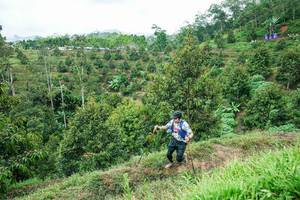 BIB: 
                            <button type="button" onclick="openModal(26395134)" class="btn btn-primary btn-sm float-right btn-popup" data-toggle="modal" data-target=".modal-high-quality">
                        <i class="fas fa-shopping-cart"></i> Add to Cart
                    </button>
                                            <button type="button" onclick="isThisMe(26395134, true)" class="btn btn-success btn-sm float-right btn-popup btn-isme hidden" data-toggle="tooltip" data-placement="bottom" title="นี่คือรูปของคุณใช่ไหม คลิกที่นี่เพื่อเอาเข้าอัลบั้ม">
                        <i class="fas fa-plus"></i> Add to album
                    </button>
                    <button type="button" onclick="isThisMe(26395134, false)" class="btn btn-warning btn-sm float-right btn-popup btn-isnotme hidden">
                        <i class="fas fa-ban"></i> Remove from album
                    </button>