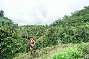 BIB: 
                            <button type="button" onclick="openModal(26396383)" class="btn btn-primary btn-sm float-right btn-popup" data-toggle="modal" data-target=".modal-high-quality">
                        <i class="fas fa-shopping-cart"></i> Add to Cart
                    </button>
                                            <button type="button" onclick="isThisMe(26396383, true)" class="btn btn-success btn-sm float-right btn-popup btn-isme hidden" data-toggle="tooltip" data-placement="bottom" title="นี่คือรูปของคุณใช่ไหม คลิกที่นี่เพื่อเอาเข้าอัลบั้ม">
                        <i class="fas fa-plus"></i> Add to album
                    </button>
                    <button type="button" onclick="isThisMe(26396383, false)" class="btn btn-warning btn-sm float-right btn-popup btn-isnotme hidden">
                        <i class="fas fa-ban"></i> Remove from album
                    </button>